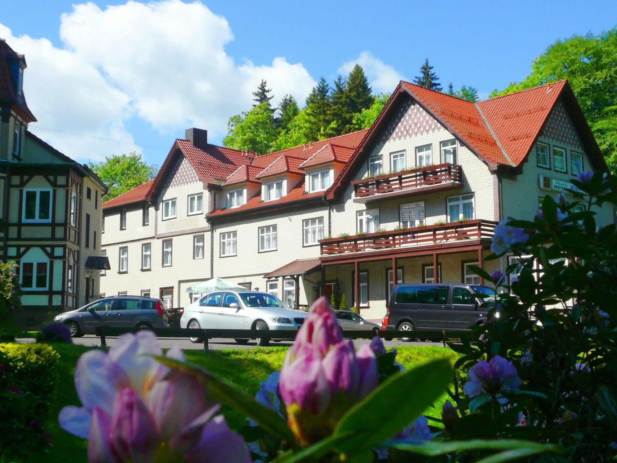 Waldhotel פרידריכרודה מראה חיצוני תמונה